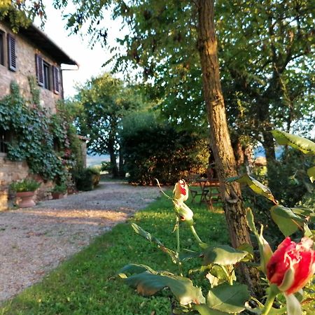 Casa Gioia Leilighet Greve in Chianti Eksteriør bilde