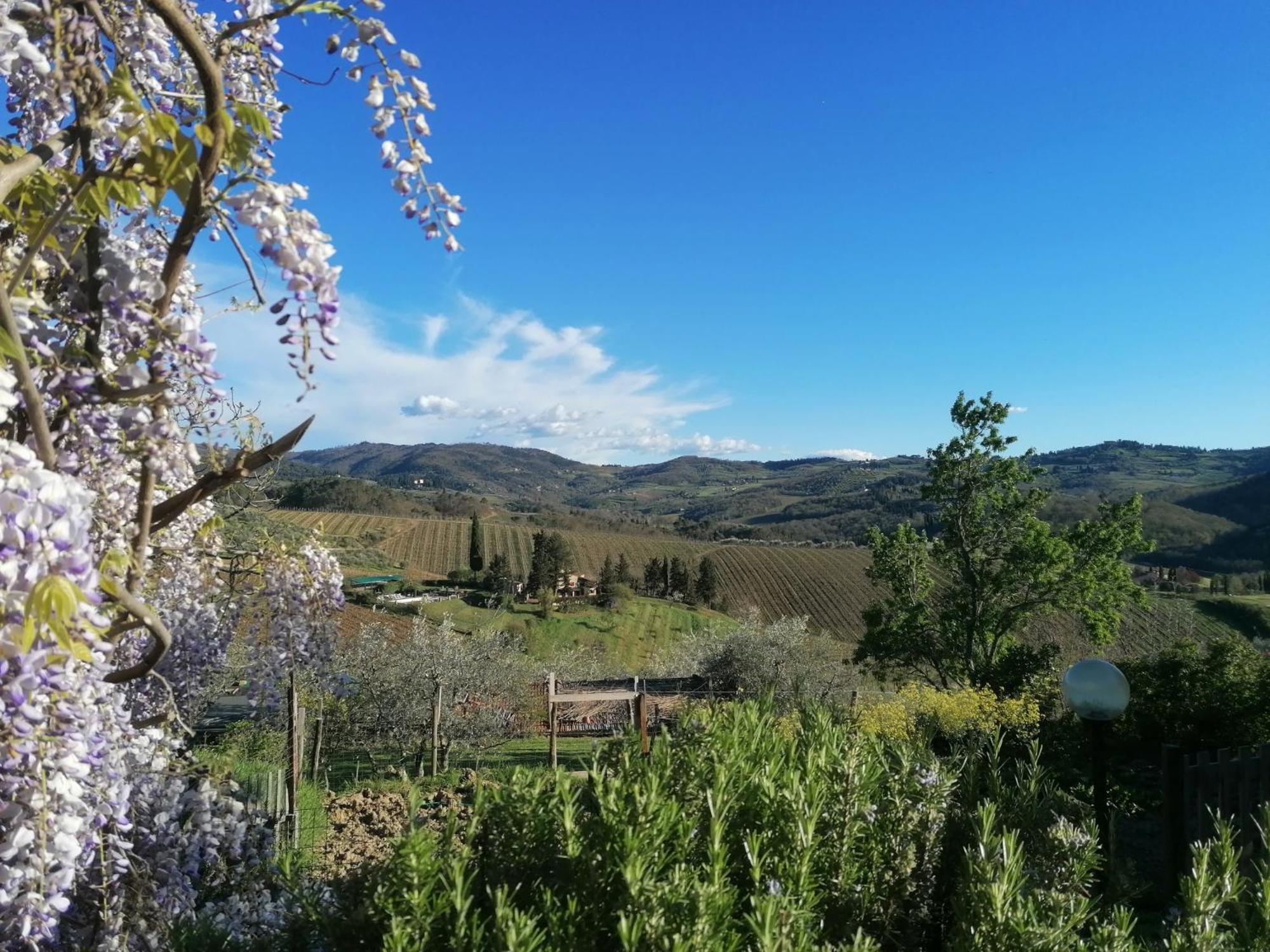 Casa Gioia Leilighet Greve in Chianti Eksteriør bilde
